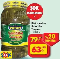 BİZİM VATAN SALATALIK TURŞUSU 3000 G